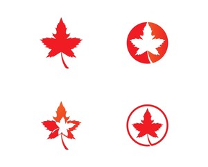 Oak Leaf Logo template vector illustration