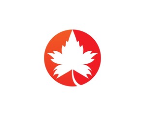 Oak Leaf Logo template vector illustration