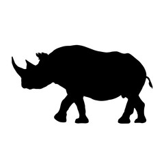 Black Rhinoceros, Diceros Bicornis, Silhouette, Eastern Africa And South Africa