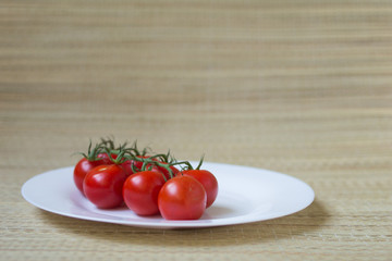 Tomato branch on on a white plate, fresh harvest from garden