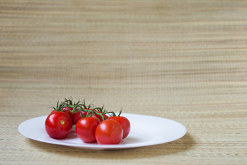 Tomato branch on on a white plate, fresh harvest from garden