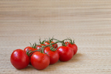 Tomato branch , fresh harvest from garden