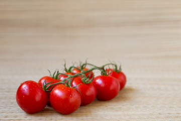 Tomato branch , fresh harvest from garden