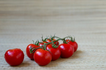 Tomato branch , fresh harvest from garden