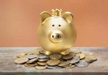 Piggy bank.