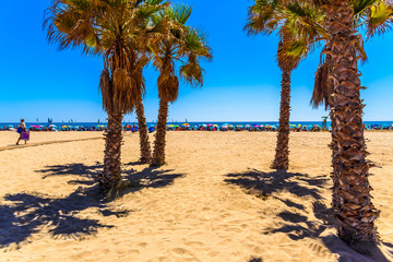 Valencia, Spain - June 23, 2019: Canet beach, full of vacationers with their umbrellas, seen from the shade of some palm trees planted in the wide empty sand.