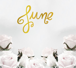 June handwriting lettering gold color on white roses frame background