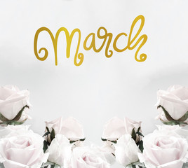 March handwriting lettering gold color on white roses frame background