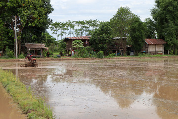 Thai peasant lifestyle