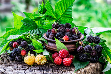 Ripe raspberry in wooden rustic bowl on table.Organic berries with peduncles and green leaves on a wooden table, top view.Summer berry harvest.