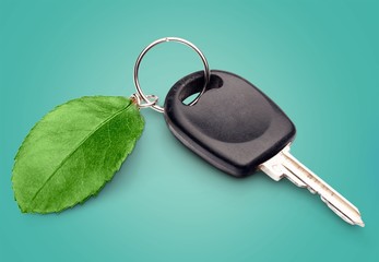 Green car key.