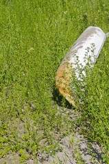 Old canoe in grass