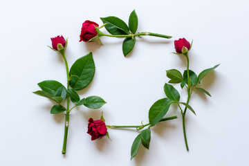 赤薔薇の背景素材