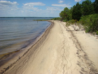 Obraz premium river beach