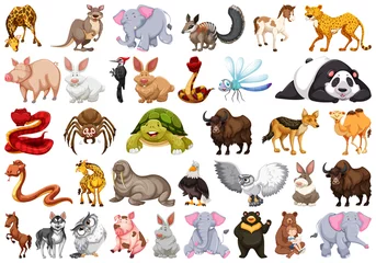 Stickers meubles Zoo Set of different animals