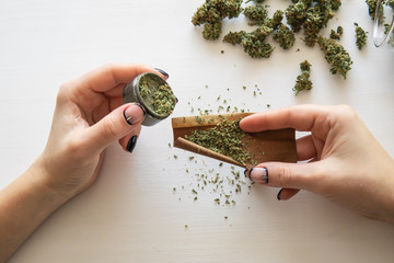 Woman preparing and rolling marijuana cannabis joint. Close up of marijuana blunt with grinder....