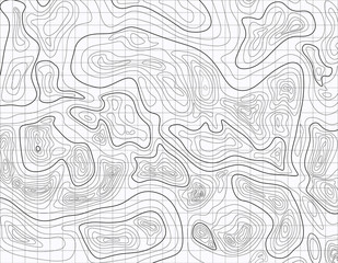 Topographic map with grid. Vector illustration isolated light background template.