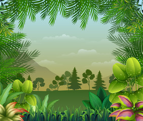 Tropical jungle background with trees and leaves