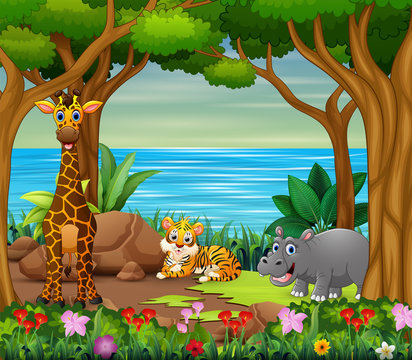 Wild animals cartoon living in the beautiful forest