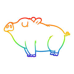 rainbow gradient line drawing cartoon pig