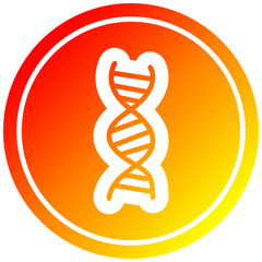 DNA chain circular in hot gradient spectrum