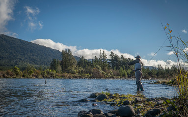 Fototapeta premium Fly fishing scenes on rivers and lakes