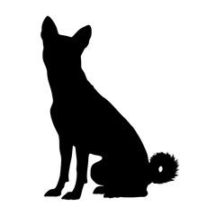 Basenji Dog Silhouette Sitting On The White Background