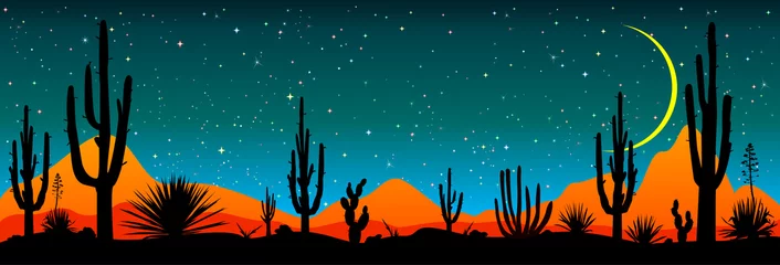Fotobehang Sterrennacht over de Mexicaanse woestijn. Woestijn, cactussen, sterrennacht. Sterrennacht boven de Mexicaanse woestijn. Silhouetten van stenen, cactussen en planten. Woestijnlandschap met cactussen. steenachtige woestijn © Oleg Lytvynenko