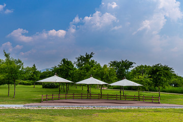 a view of the rest areas in the garden on a midsummer's day