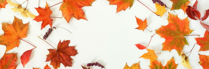 Autumn falling leaves isolated banner on white background top view. copy space