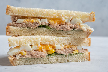 Tuna fish sandwich with egg and corn