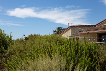 Fototapeta na wymiar rancho palos verdes California