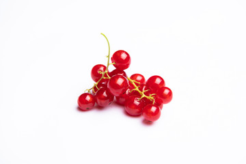 Red Currants on Stems