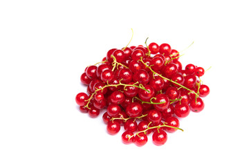 Red Currants on Stems with Leaf