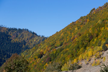 Fototapeta na wymiar Amazing autumn mountain landscape in Svaneti. Georgia
