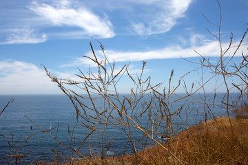 rancho palos verdes California