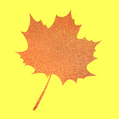 golden autumn leaves silhouette in the white background