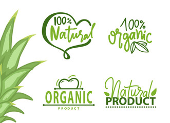 Guarantee of 100 percent organic and natural product, eco food, set of geometric label with leaves in green color, healthy symbol, vegetarian vector
