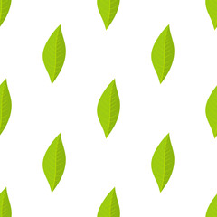 Seamless pattern with green leaves oforange fruit on white background. Vector illustration for design, web, wrapping paper, fabric, wallpaper.