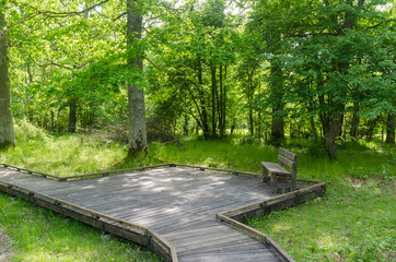 Bench by a wooden footpath with a wooden platform in a nature reserve