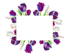 Beautiful black and white tulips photo frame. Floral collection. Marker drawing. Watercolor painting. Flower composition of design elements. Greeting card. Painted background. Hand drawn illustration.