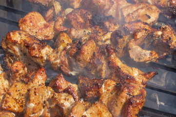 Slices of pork meat cooking outdoor on smouldering carbons