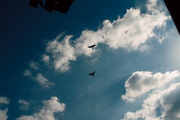 airplane in the sky