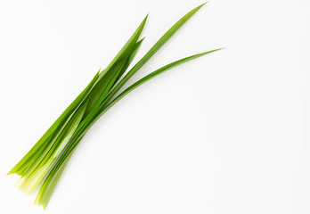Pandanus amaryllifolius, Thai  ingredient  food for smell and sweetness isolated on white background