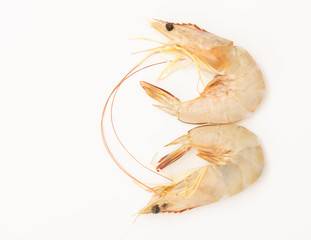 Raw fresh shrimps,prawns isolated on white background,top view