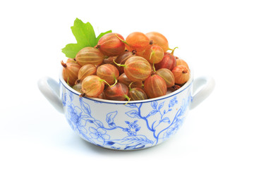 gooseberry isolated  on white background - Image .