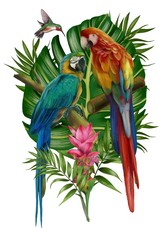 Hand drawn  allium botanical tropical hummingbird parrot leaf illustration 