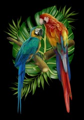 Hand drawn  allium botanical tropical hummingbird parrot leaf illustration 