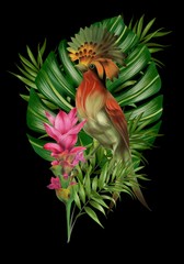 Hand drawn  allium botanical tropical hummingbird parrot leaf illustration 
