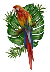 Hand drawn  allium botanical tropical hummingbird parrot leaf illustration 